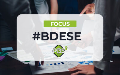 Focus sur la BDESE