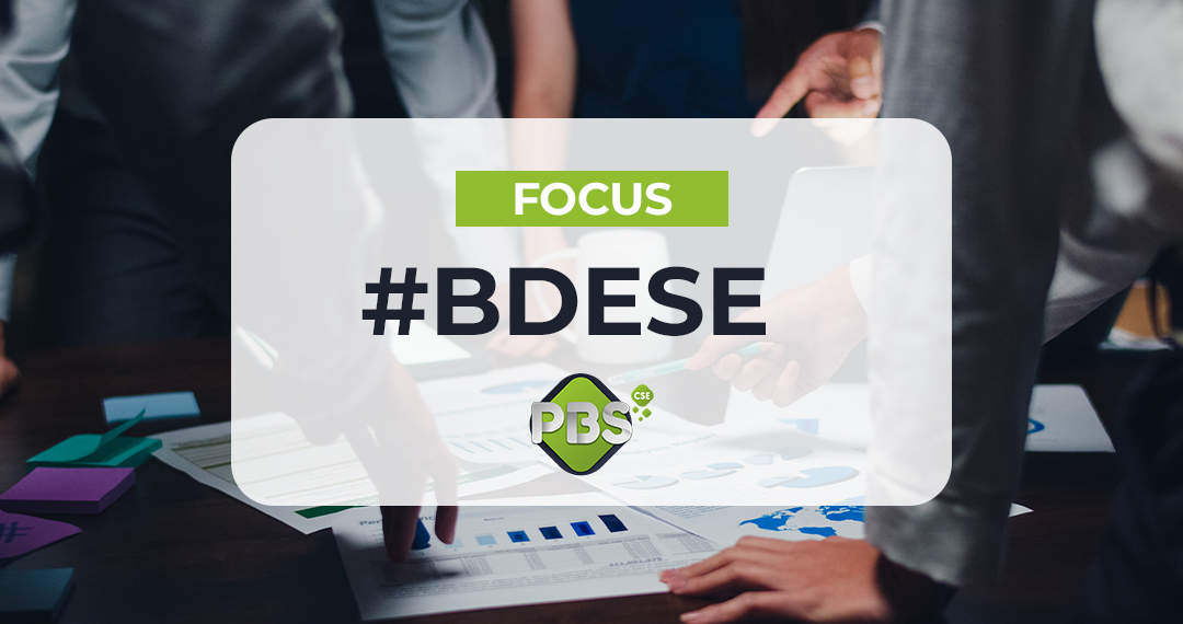 Focus sur la BDESE